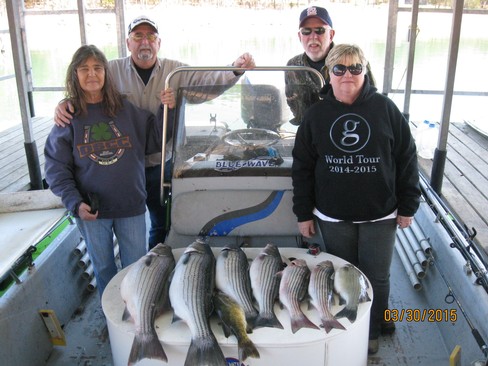 Nice Striped Bass